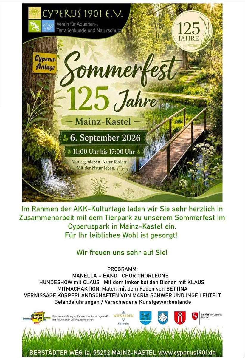 Auftritt am Sommerfest Verein Cyperus in Kastel